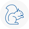 Gainsborough Rodent Removals